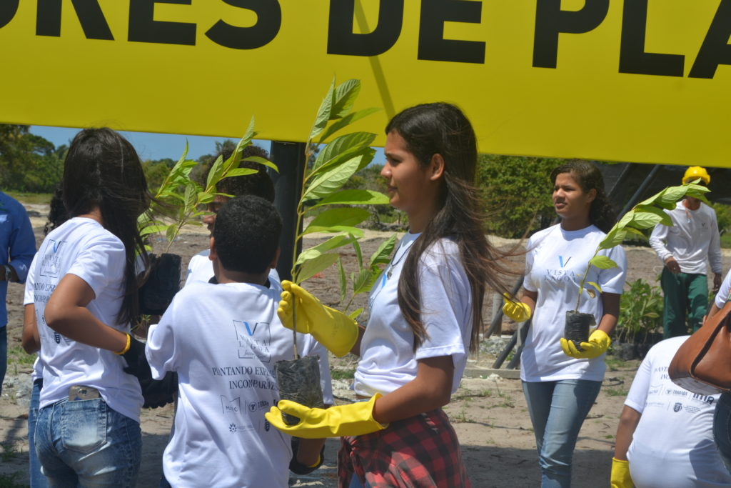 DSC 0056 - Estudantes da rede pública realizam o plantio de mais de 2 mil mudas de árvores