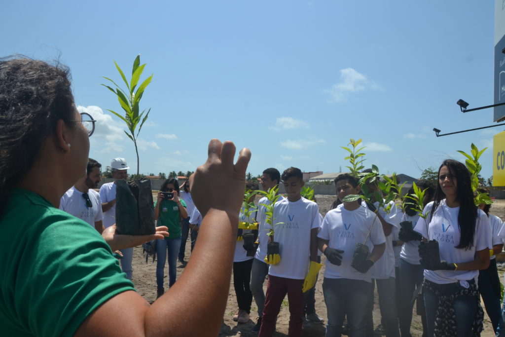 DSC 0064 - Estudantes da rede pública realizam o plantio de mais de 2 mil mudas de árvores