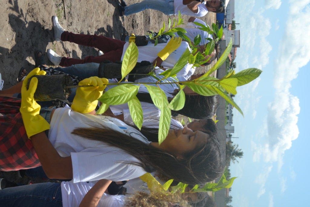 DSC 0067 - Estudantes da rede pública realizam o plantio de mais de 2 mil mudas de árvores