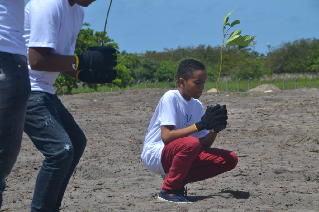 DSC 0078 - Estudantes da rede pública realizam o plantio de mais de 2 mil mudas de árvores