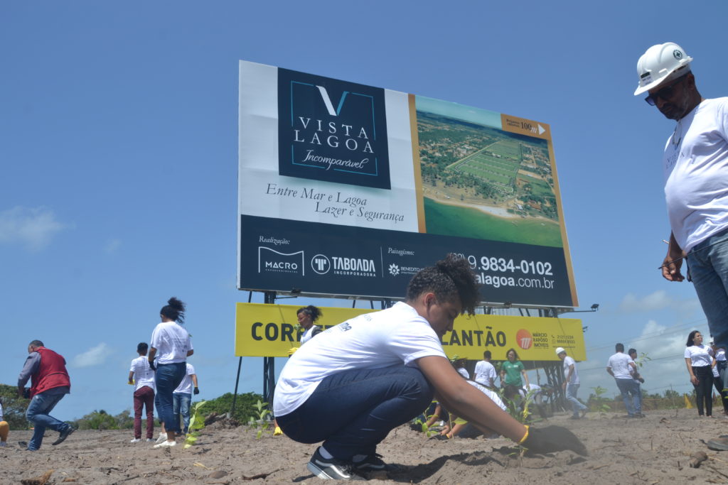 DSC 0090 - Estudantes da rede pública realizam o plantio de mais de 2 mil mudas de árvores