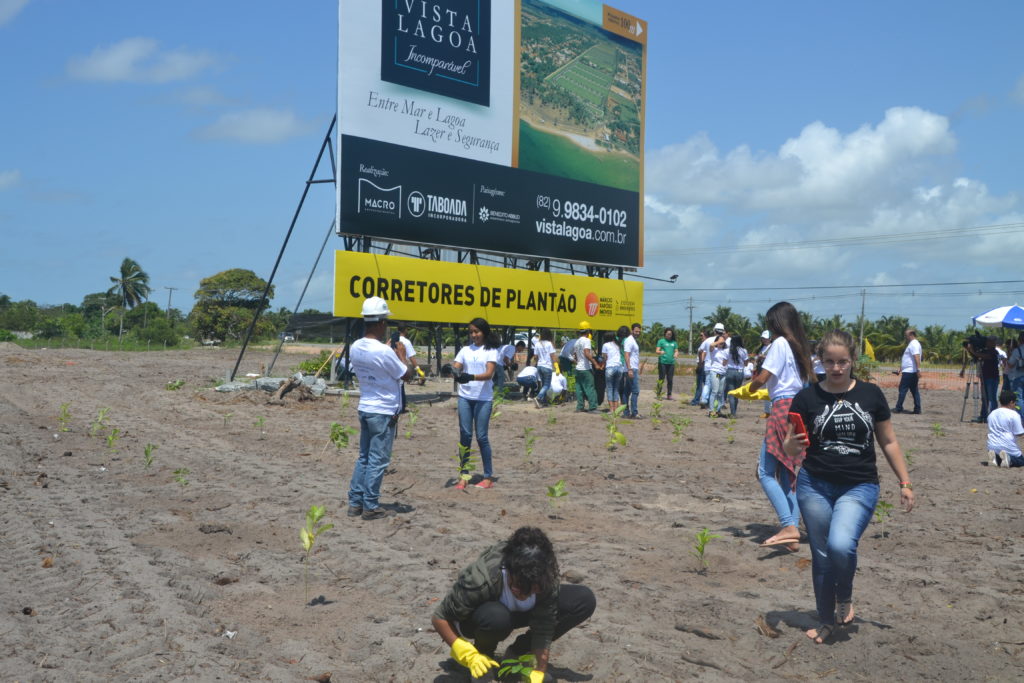 DSC 0096 - Estudantes da rede pública realizam o plantio de mais de 2 mil mudas de árvores